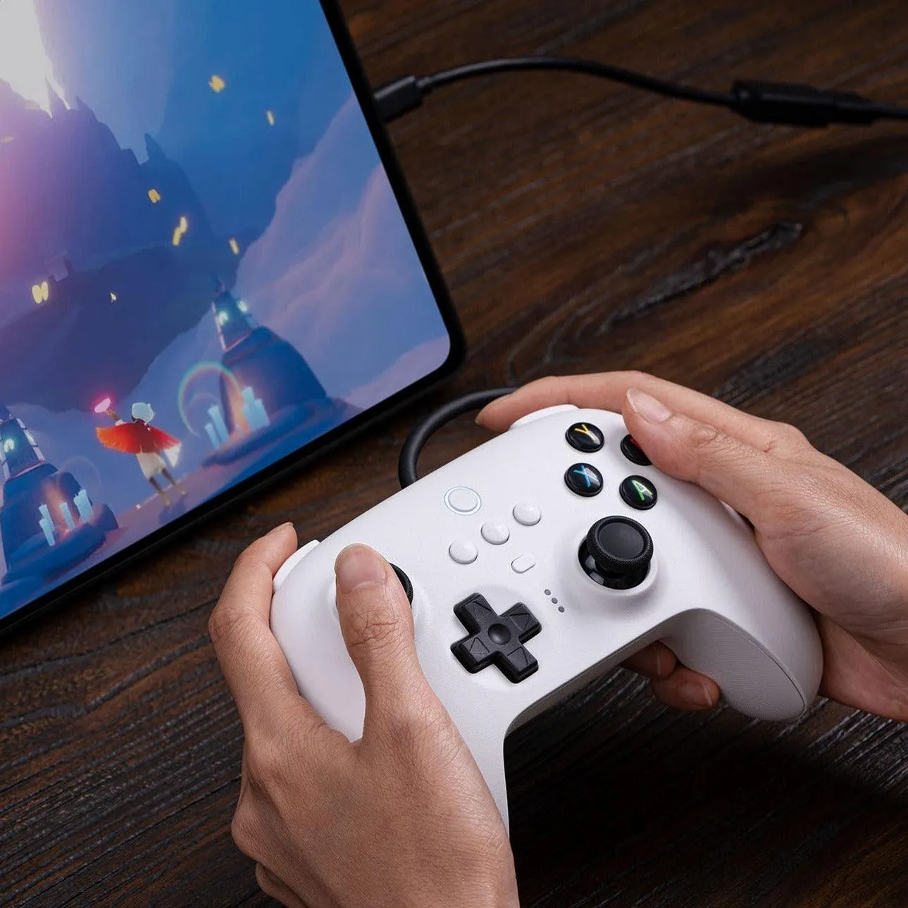 8BitDo Ultimate Controller: Wired USB Gamepad for Switch Windows PC Steam Android