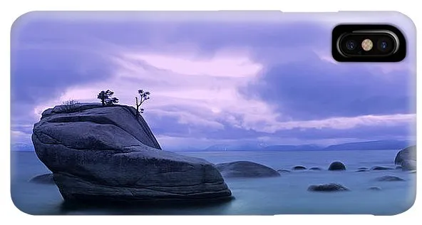 Bonsai Rock Blues By Brad Scott - Phone Case