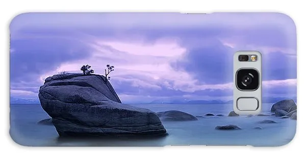 Bonsai Rock Blues By Brad Scott - Phone Case