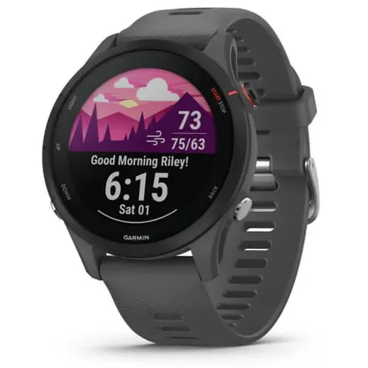 Garmin Forerunner 255