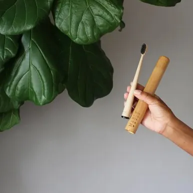 Toothbrush Holder: Bamboo