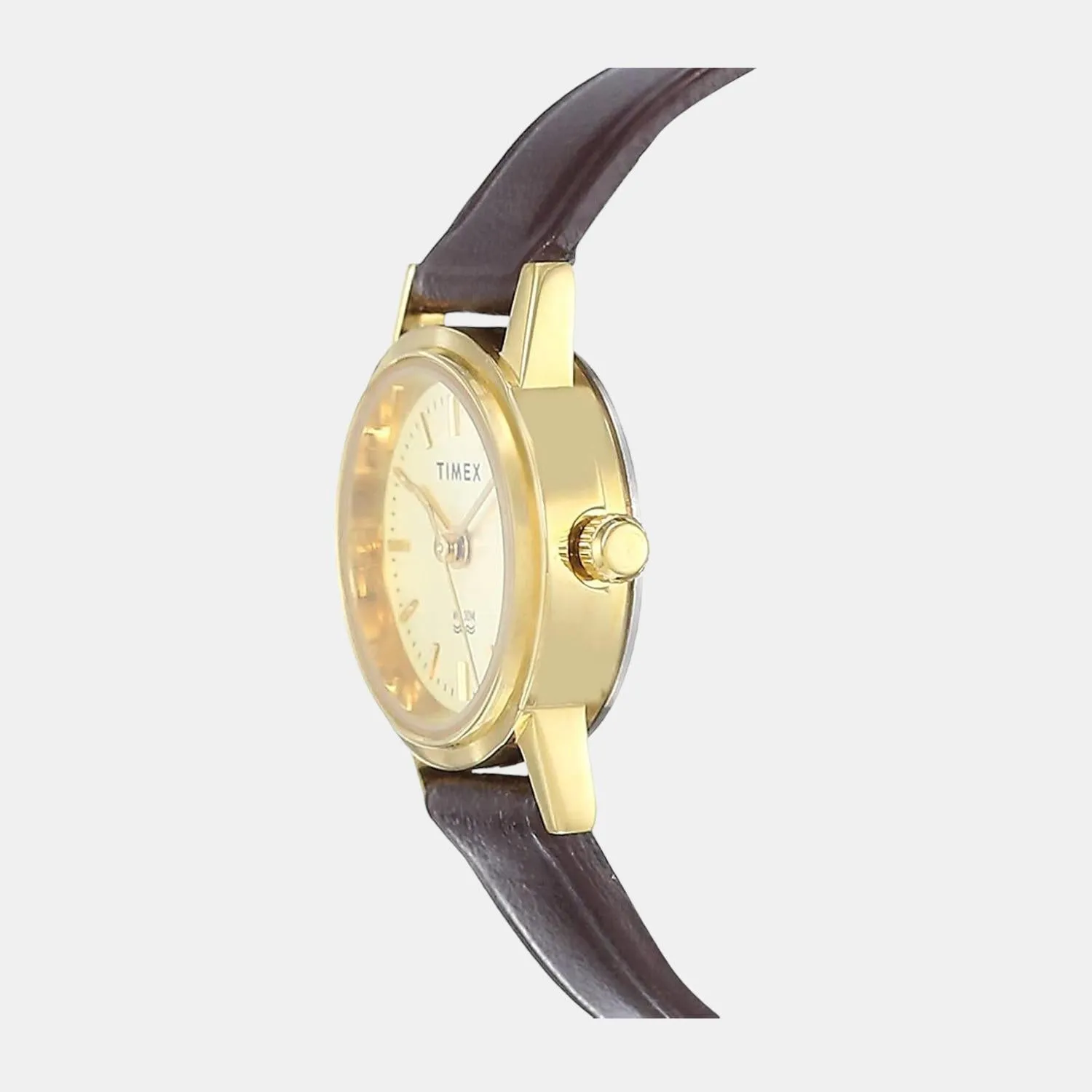 Women Champagne Analog Leather Watch B301