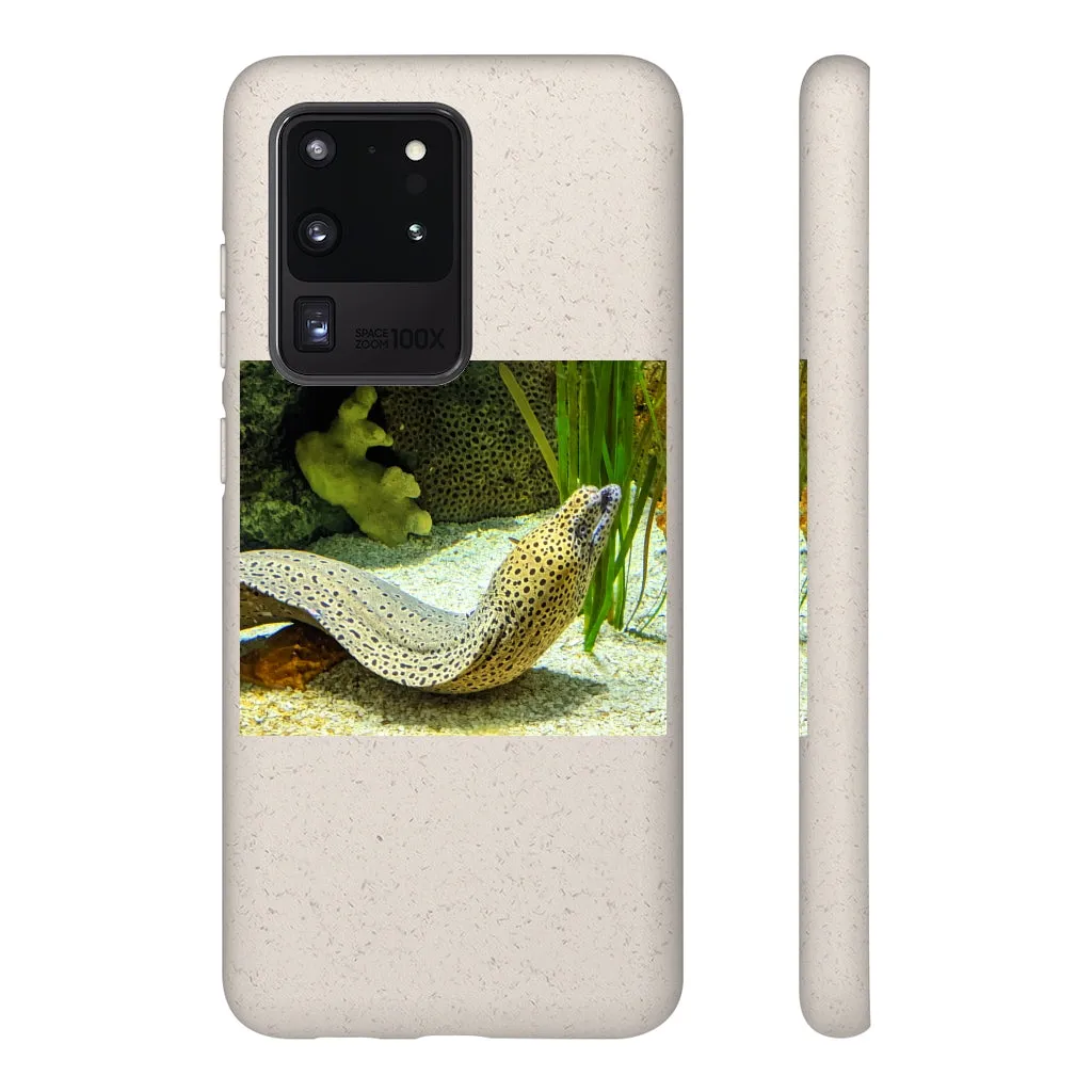 Yellow Eel Biodegradable Case